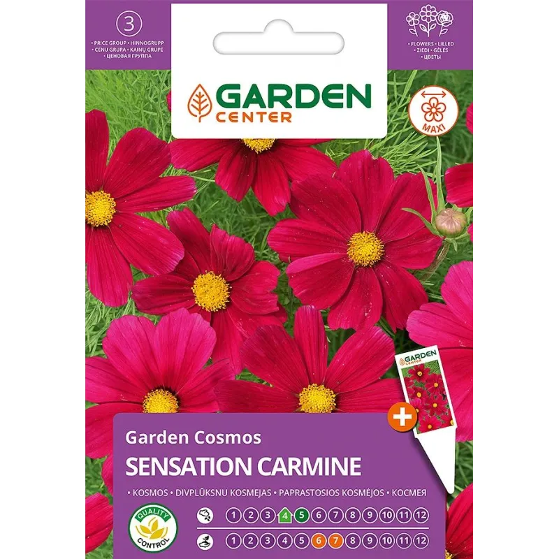 Sēklas Garden Center kosmejas SENSATION CARMINE, 1 g
