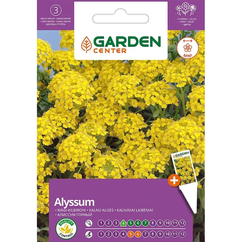 Sēklas Garden Center alises, 0.5 g