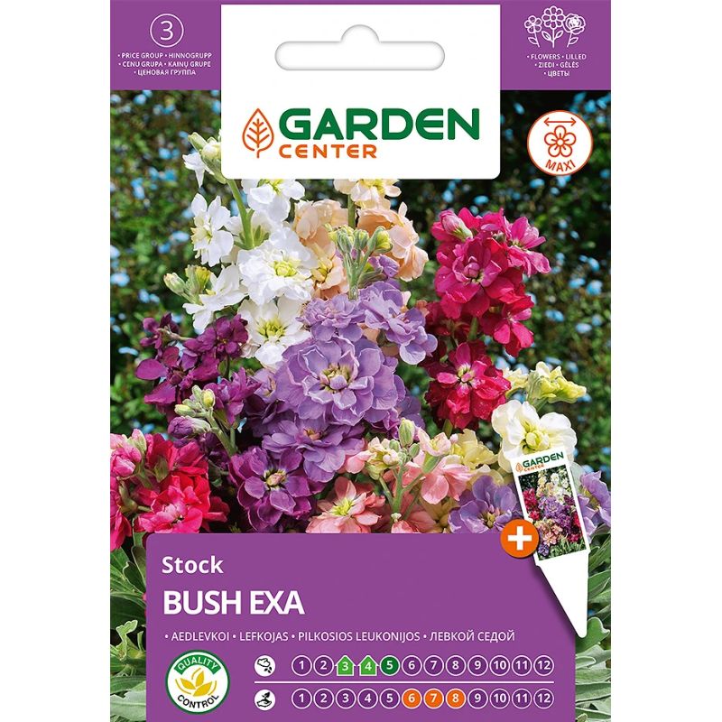 Sēklas ziedu lefkojas bush exa 0.4g