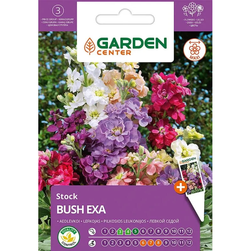Sēklas Garden Center lefkojas BUSH EXA, 0.4 g
