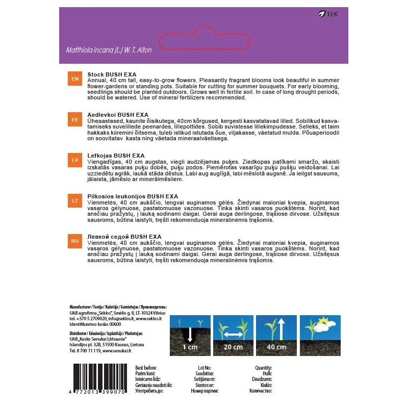 Sēklas Garden Center lefkojas BUSH EXA, 0.4 g