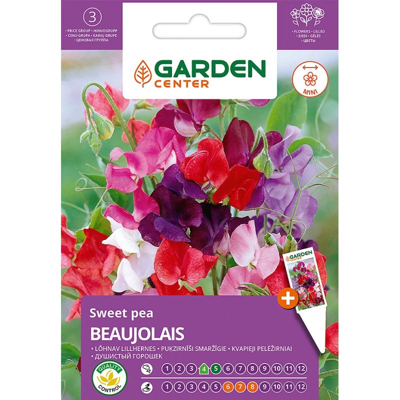 Sēklas ziedu puķuzirņi beaujolais 2g