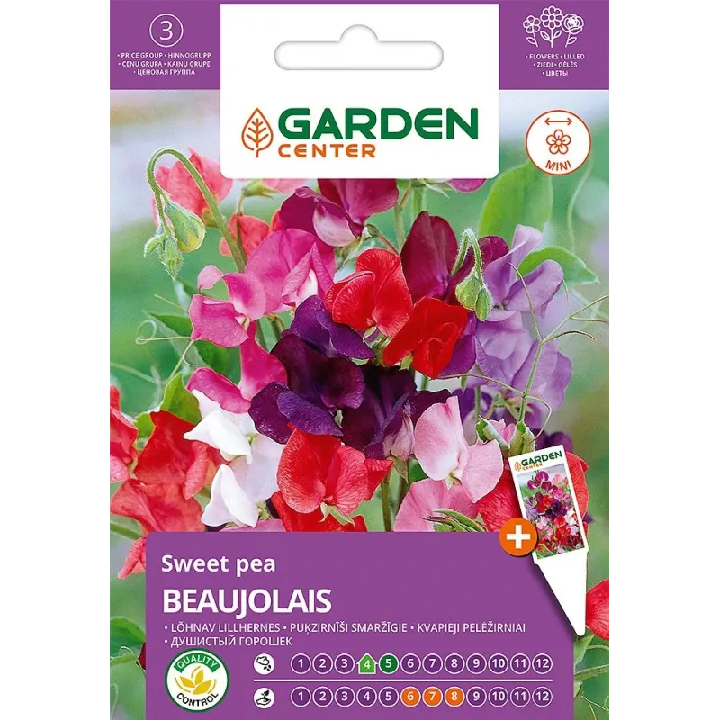 Sēklas Garden Center platlapu dedestiņa BEAUJOLAIS, 2 g