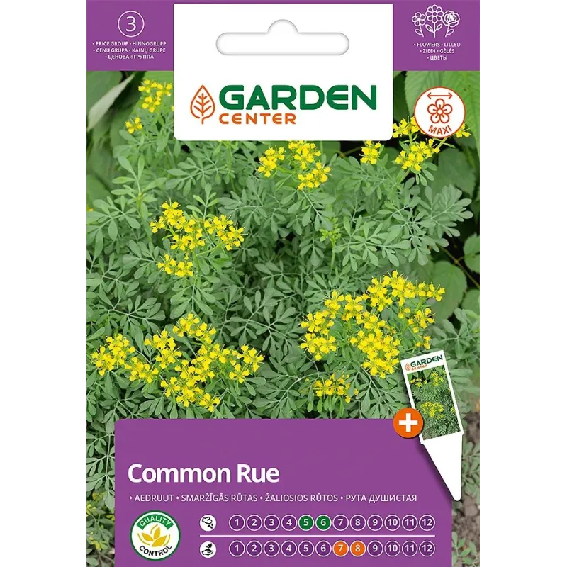 Sēklas Garden Center rūta, 0.5 g