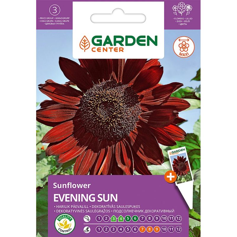 Sēklas ziedu saulespuķes evening sun 2g