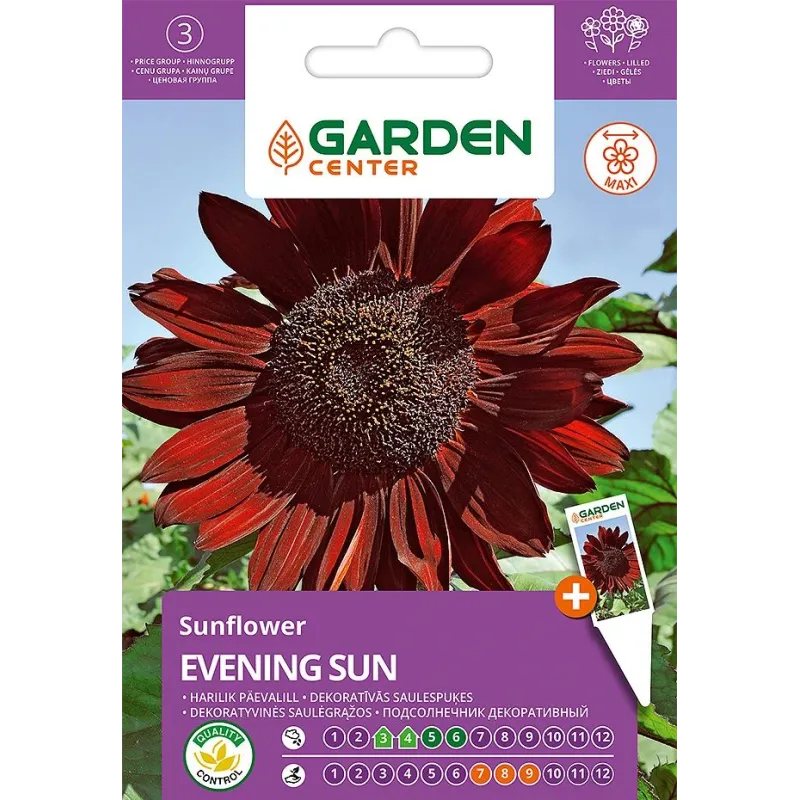 Sēklas Garden Center saulespuķes EVENING SUN, 2 g