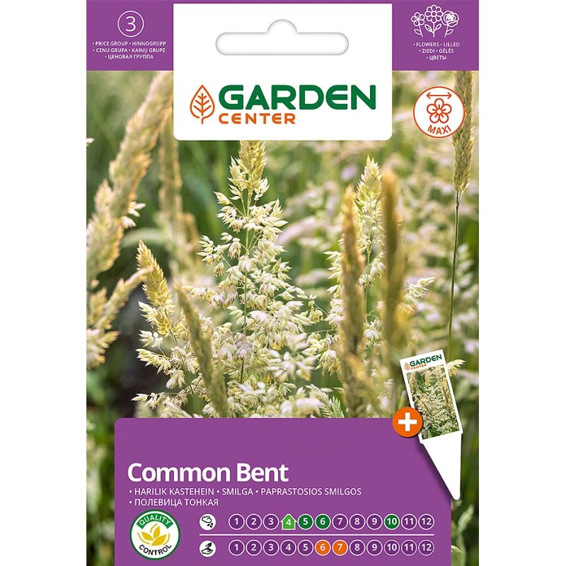 Sēklas ziedu smilgas 1g