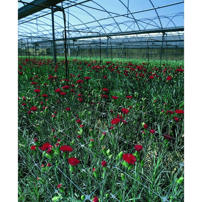 Plastmasas tīkls 10x120 m bezkrāsains