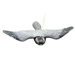 Dekoratīvais putns s037 35x53x8 cm