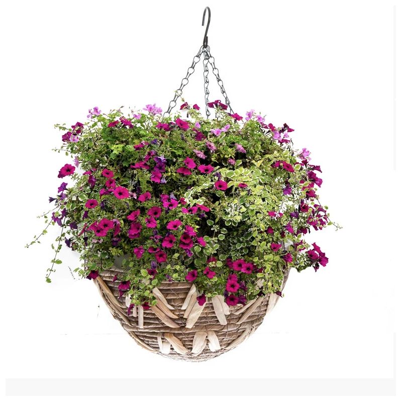 Pods puķu uzkarams pīts 30846 d35 cm