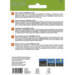 Sēklas dārz balt kāpost kamiena glowa 1g