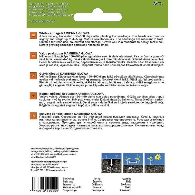 Sēklas Garden Center, ziedkāposti Kamiena Glowa, 1 g