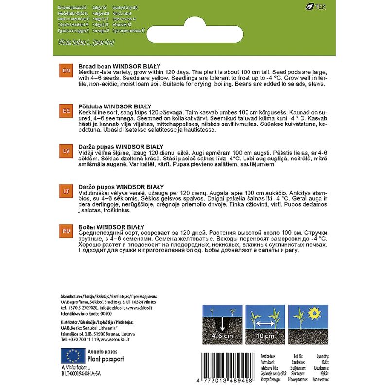 Sēklas dārzeņu dārza pupas windsor 30g