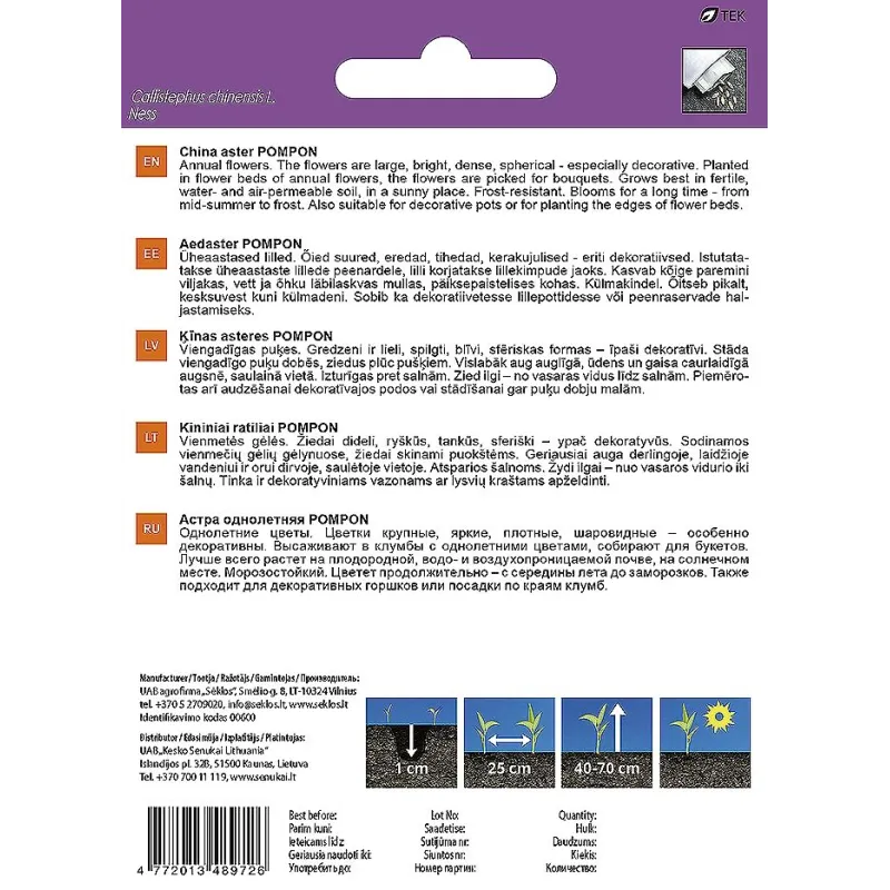 Sēklas Garden Center ķīnas astere POMPON, 0.5 g