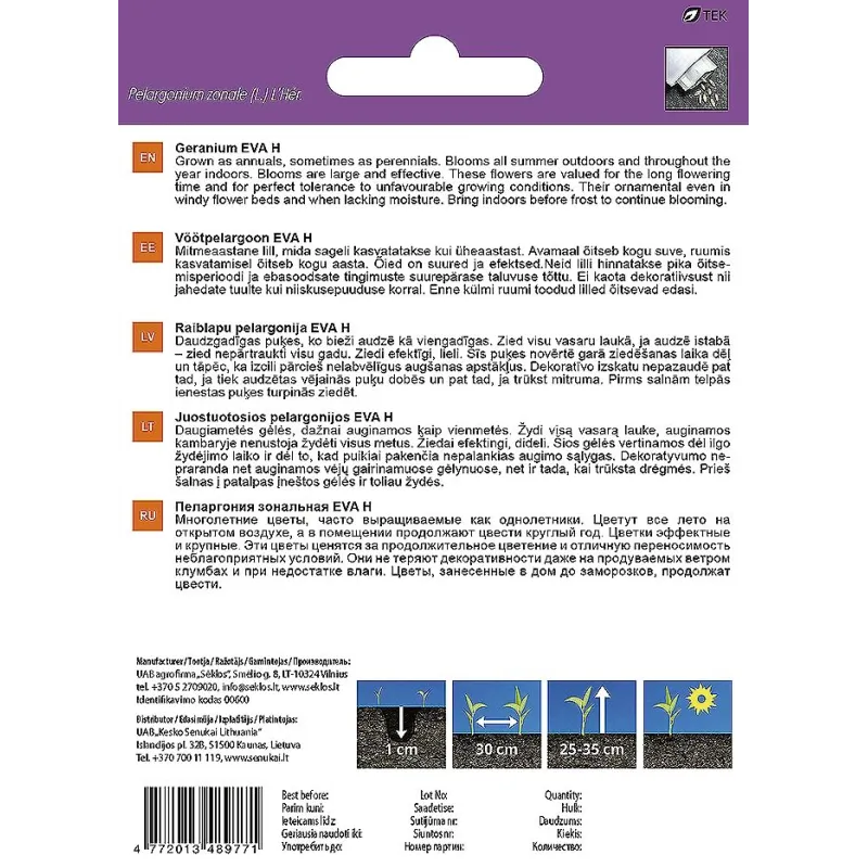 Sēklas Garden Center pelargonijas EVA H, 5 gab.