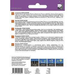 Sēklas ziedu rudzupuķe rose shade 0.4g