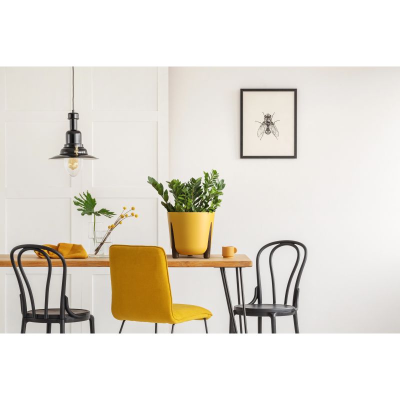 Puķupods pl. frida 228-15 260