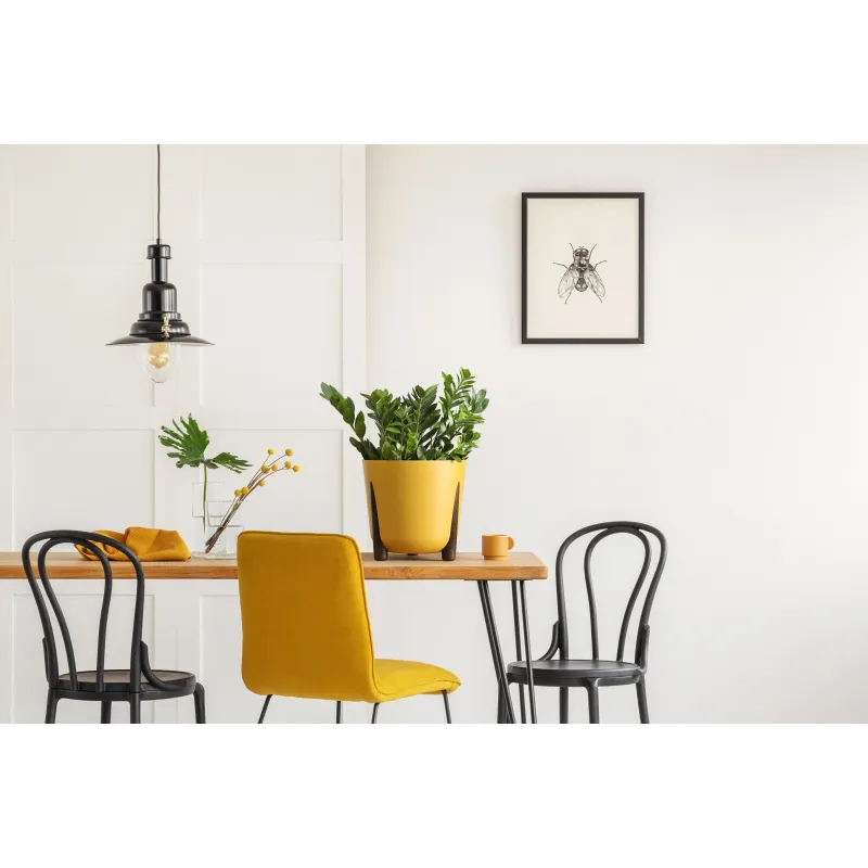 Puķu pods Lamela Frida 228-15, plastmasa, dzeltena