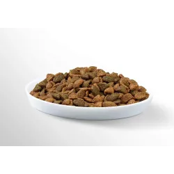 Kuiv kassitoit Perfect Fit, 0.75 kg