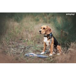 Pavada suņiem denim l 140x2cm zila