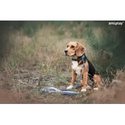 Koera rihm Amiplay Denim 124980, sinine v., 1.4m x 2cm