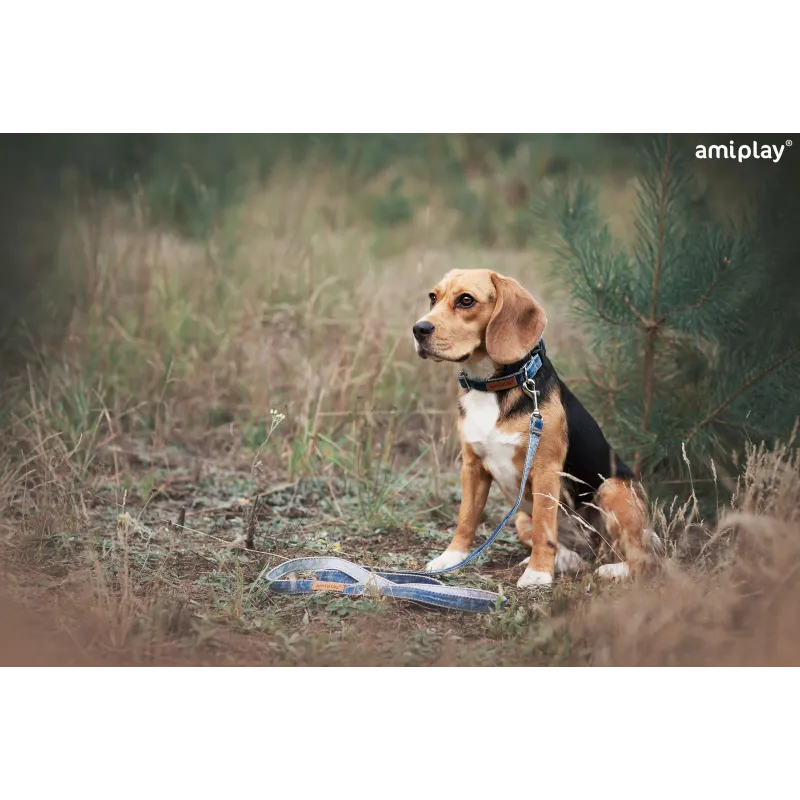 Šuns pavadėlis Amiplay Denim 124980, mėlyna sp., 1.4m x 2cm