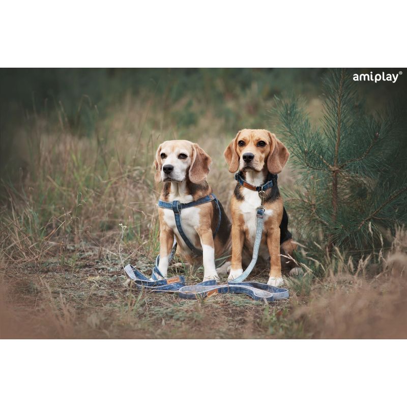 Pavada suņiem denim l 140x2cm zila