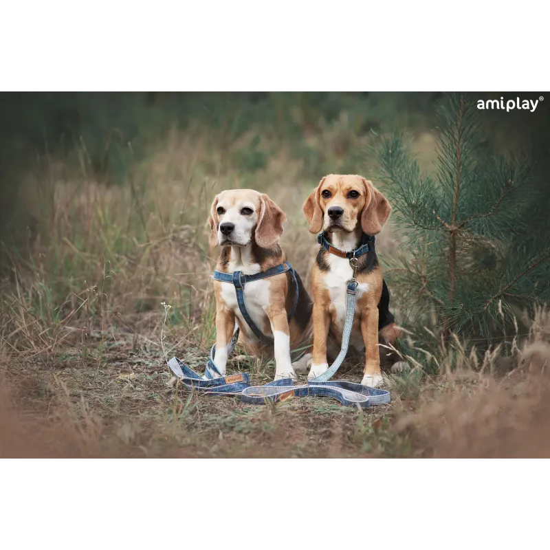 Šuns pavadėlis Amiplay Denim 124980, mėlyna sp., 1.4m x 2cm