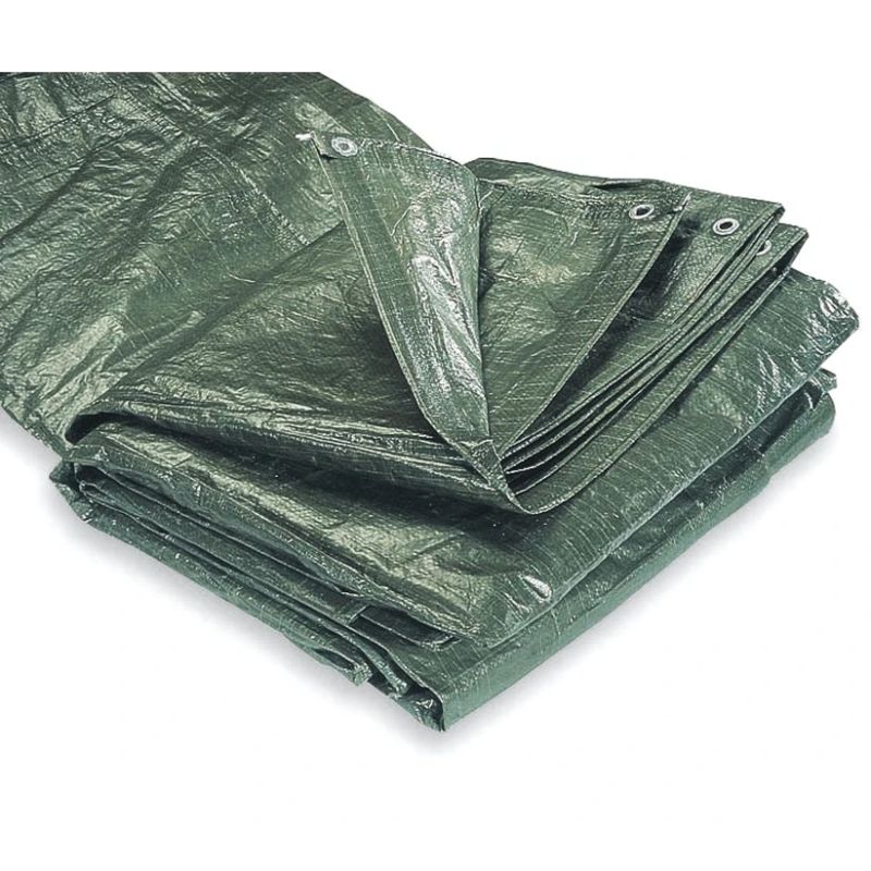 Pārklājs fxa 6x10m 100gr-m2 zaļš