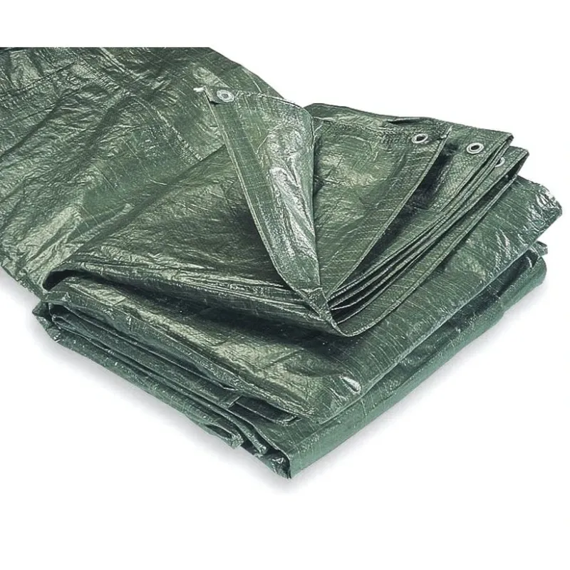 Tents Fxa, zaļa, 10 m x 6 m