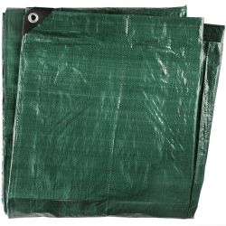 Pārsegs tarmo pe 80g 4x6m 258432