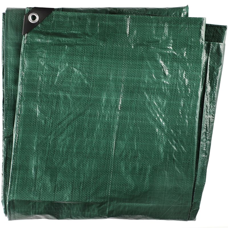 Pārsegs tarmo pe 80g 4x6m 258432