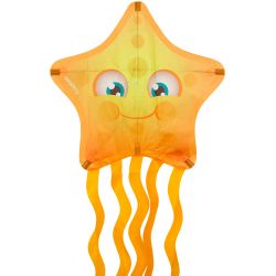 Gaisa pūķis sea animal 51wr-gee-uni