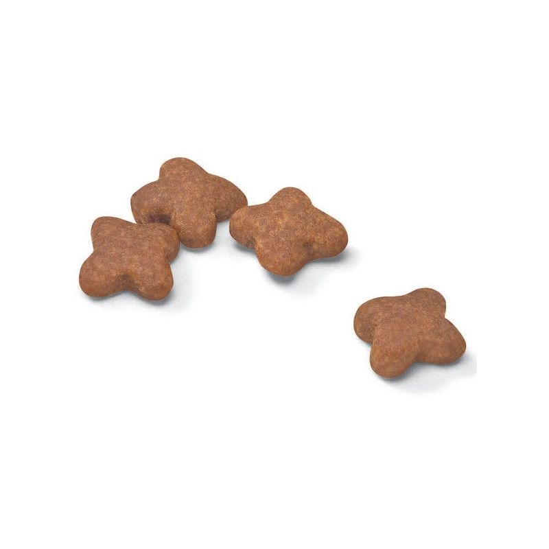 Barība suņiem royalcanin mini ad 8+ 800g