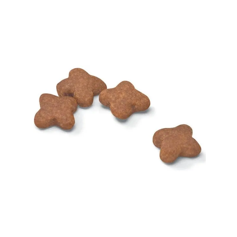 Sausas šunų maistas Royal Canin SHN Mini Adult 8+, vištiena, 0.8 kg