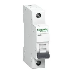 Automatinis jungiklis Schneider Electric K60N, 1P, C, 6kA, 6 A
