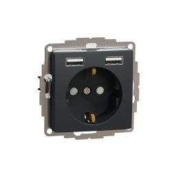 K-ligzda ar zemējumu 2xusb antracīts