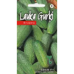 Sēklas gurķi adam f1