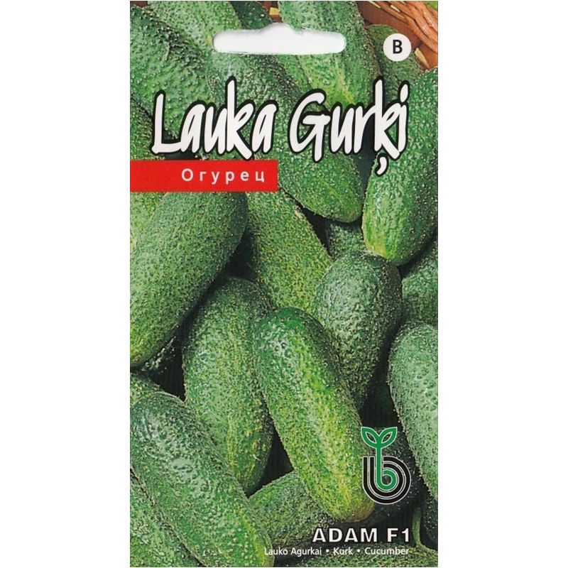 Sēklas gurķi adam f1