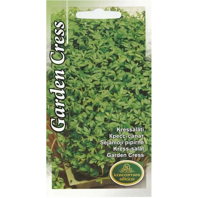 Sēklas Kurzemes sēklas, kressalāti diedzēšanai