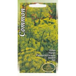 Sēklas dilles common