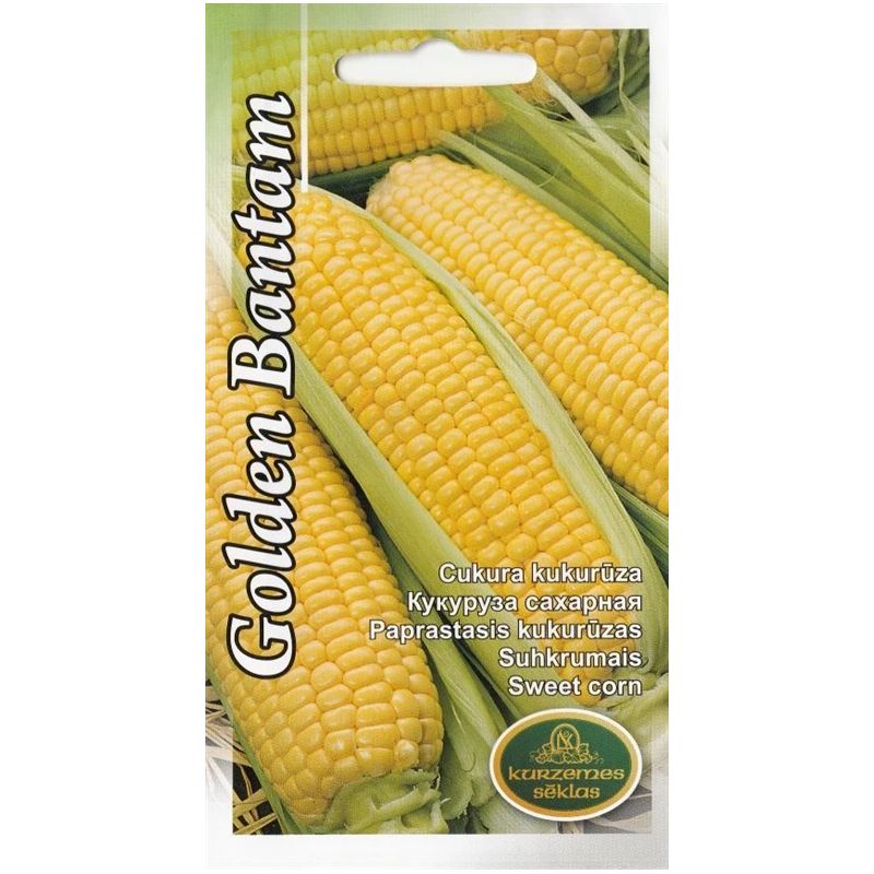Sēklas kukurūza golden bantam