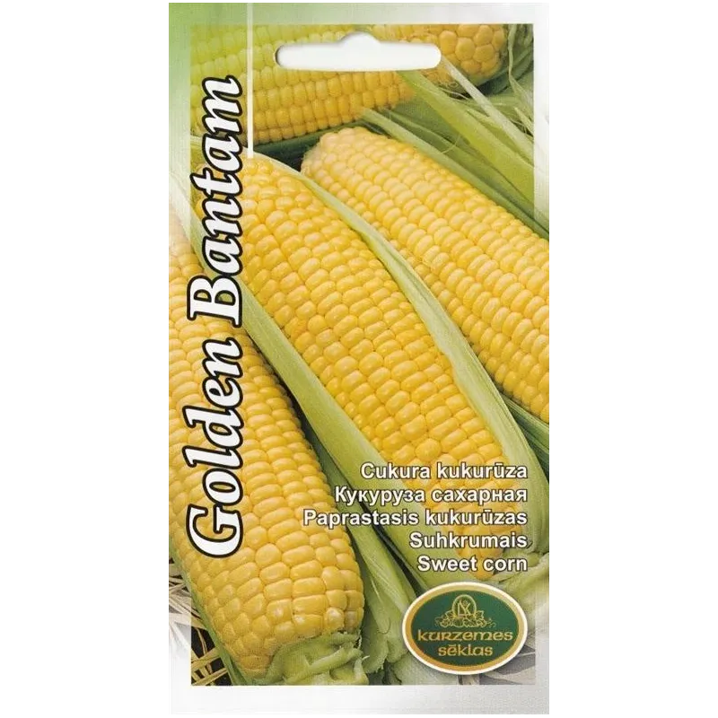 Sēklas Kurzemes sēklas, kukurūza Corn Golden Bantam, 5 g