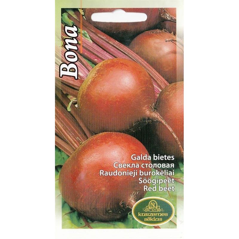 Sēklas bietes galda bona