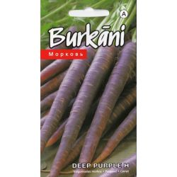 Sēklas burkāni deep purple h