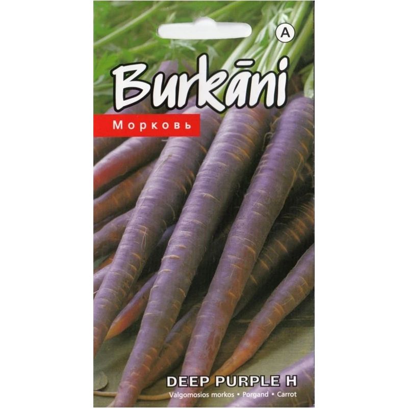 Sēklas burkāni deep purple h