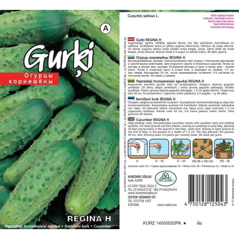 Sēklas gurķi regina h