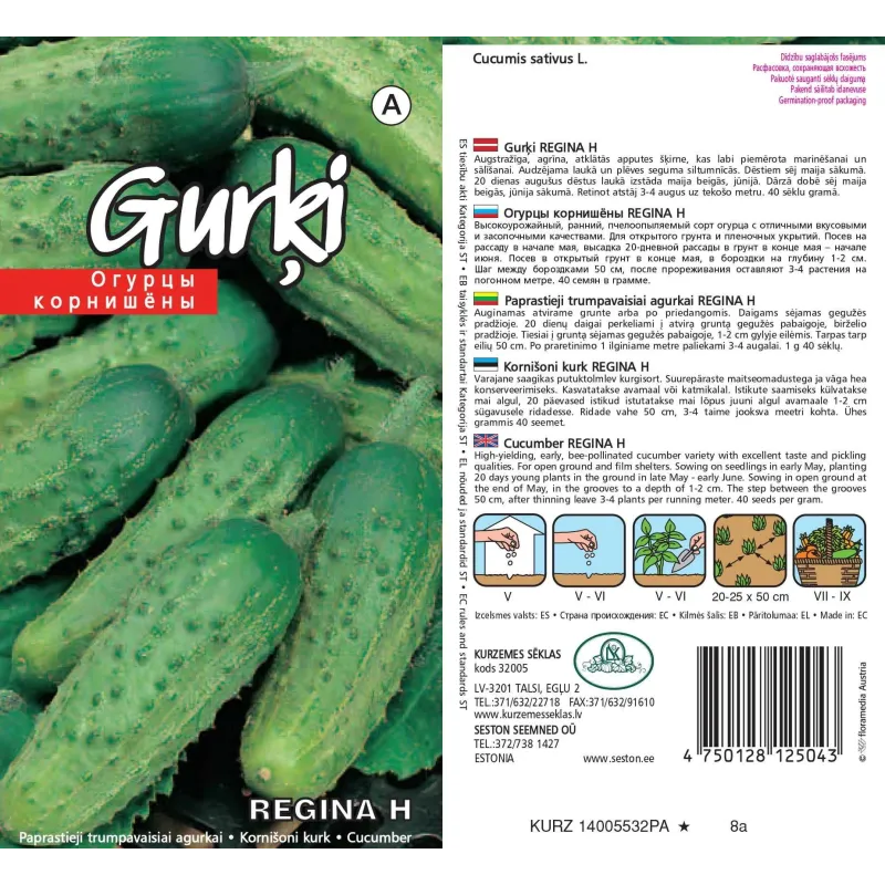 Sēklas Kurzemes sēklas, gurķi Regina H, 1 g