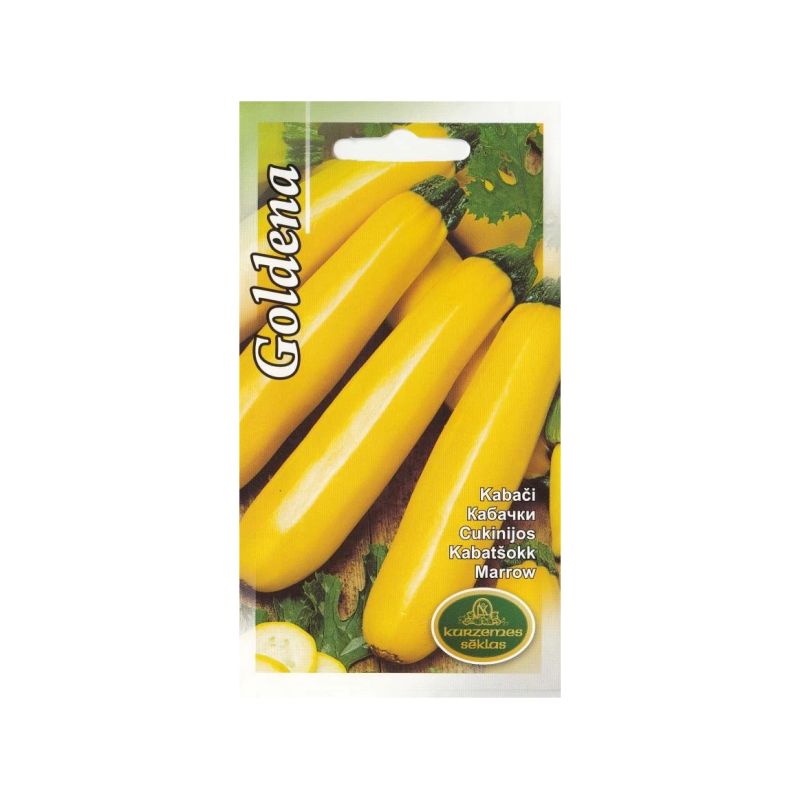 Sēklas kabači goldena