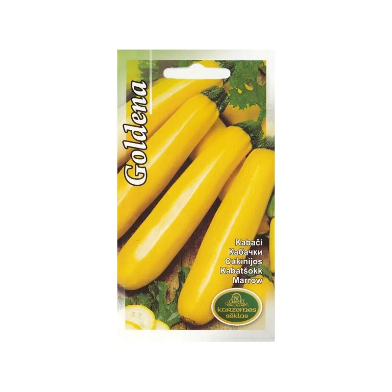 Sēklas Kurzemes sēklas, kabacis Goldena, 1 g